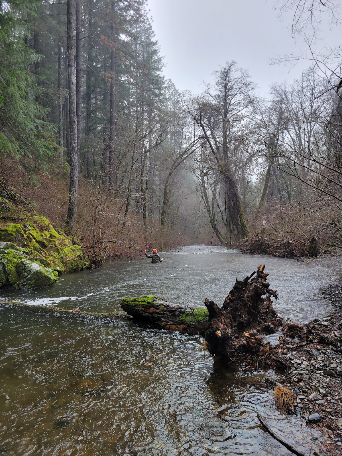 Sims Flat Campground