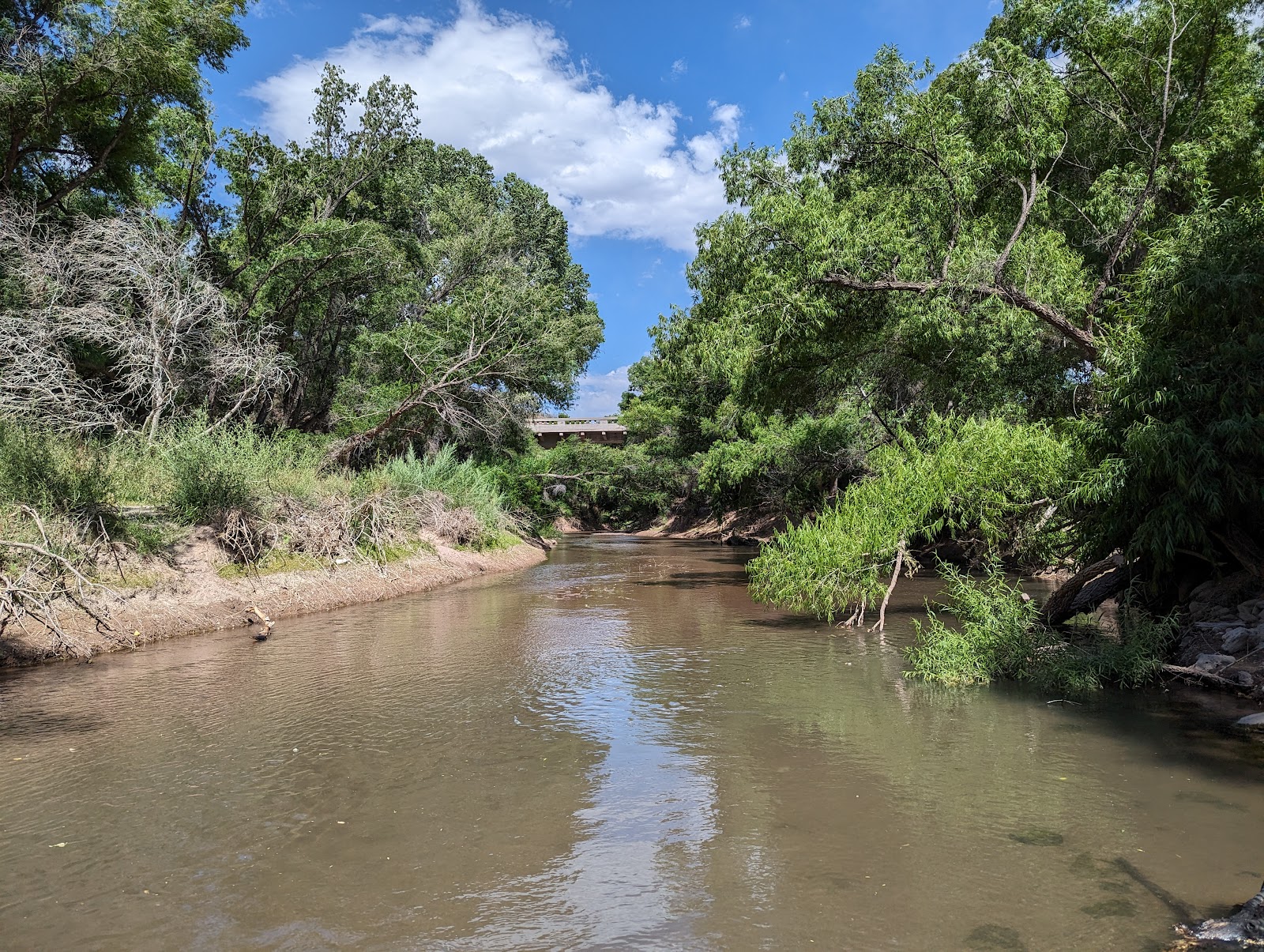 Owl Creek Campground