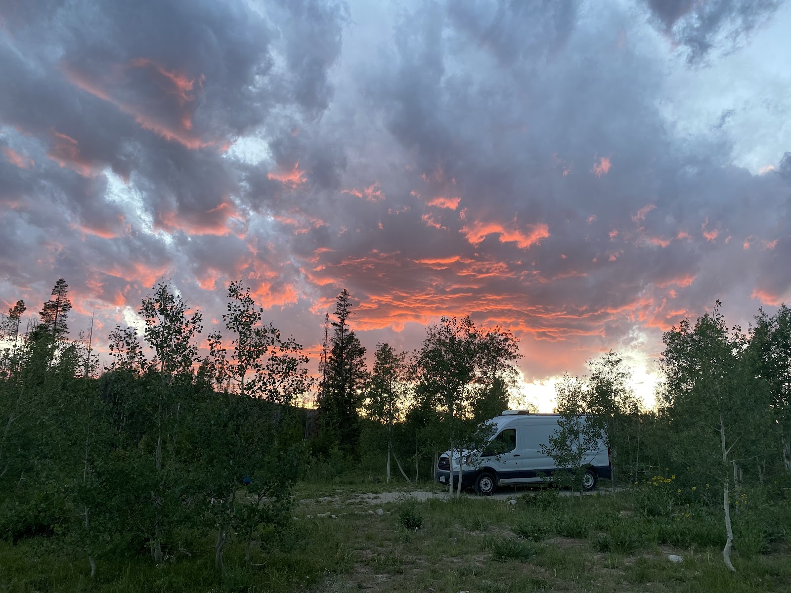 Ryan Park Campground