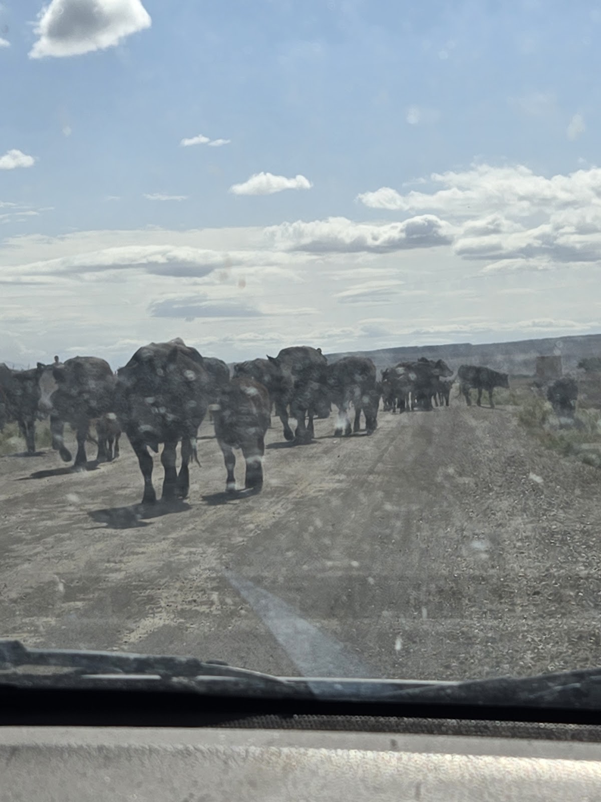 Joes Valley Campground and Boat Ramp