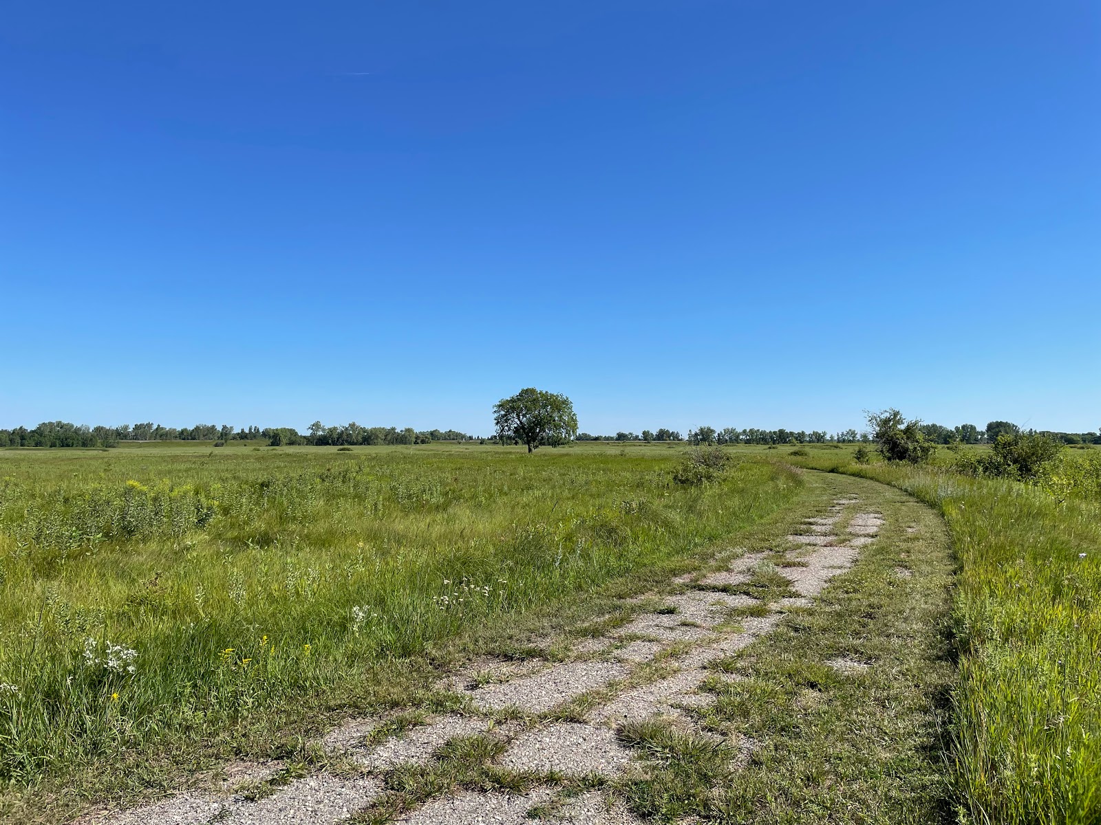 Buffalo River State Park