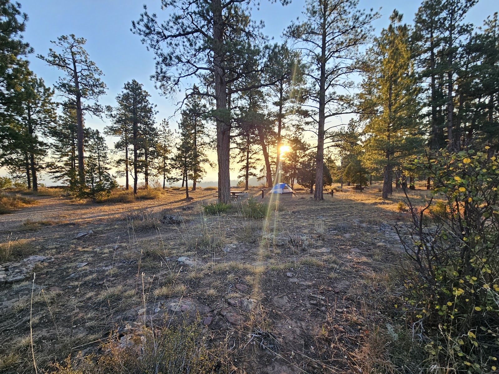 Canyon Rim Campground