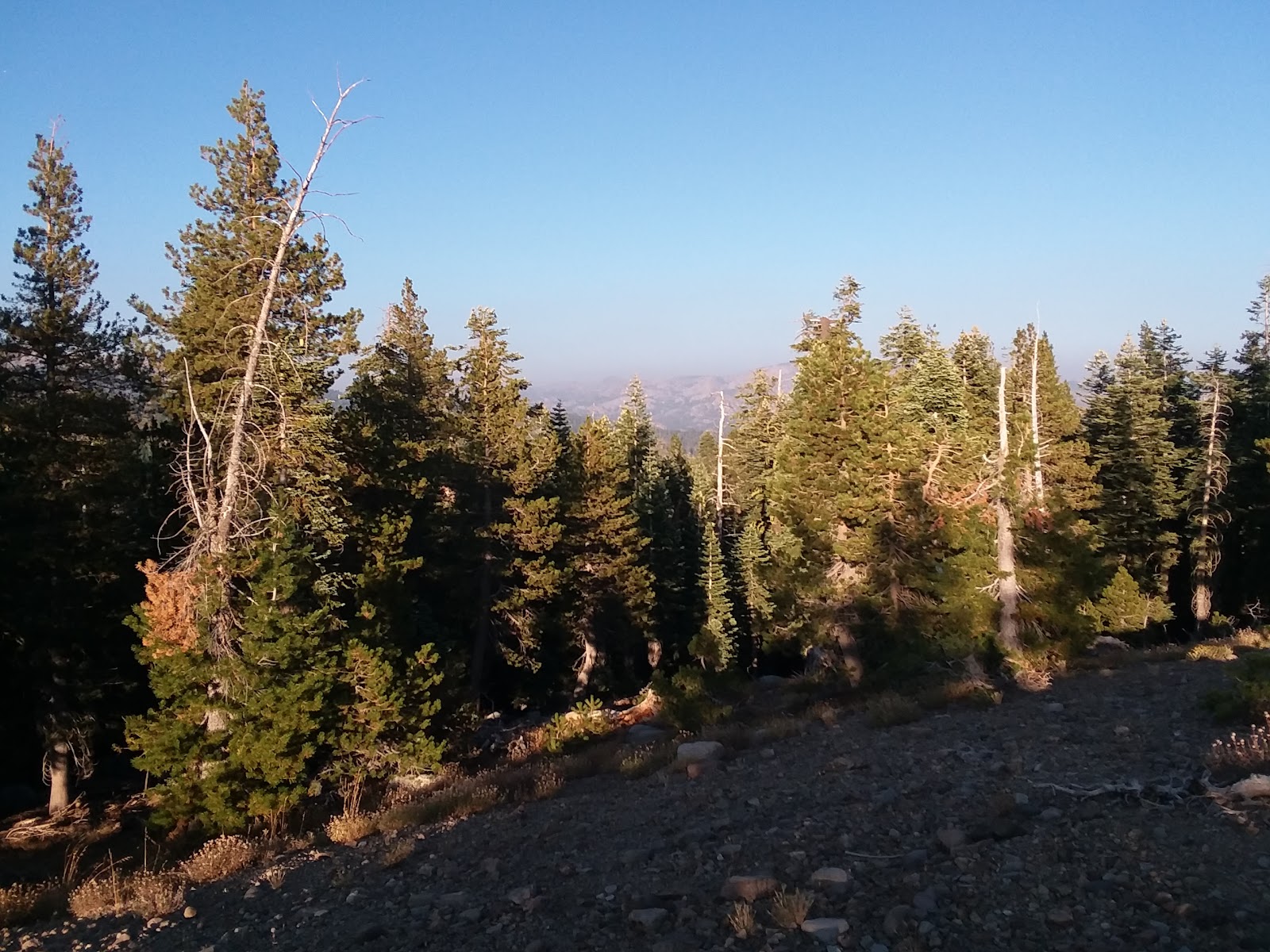 Lodgepole Campground