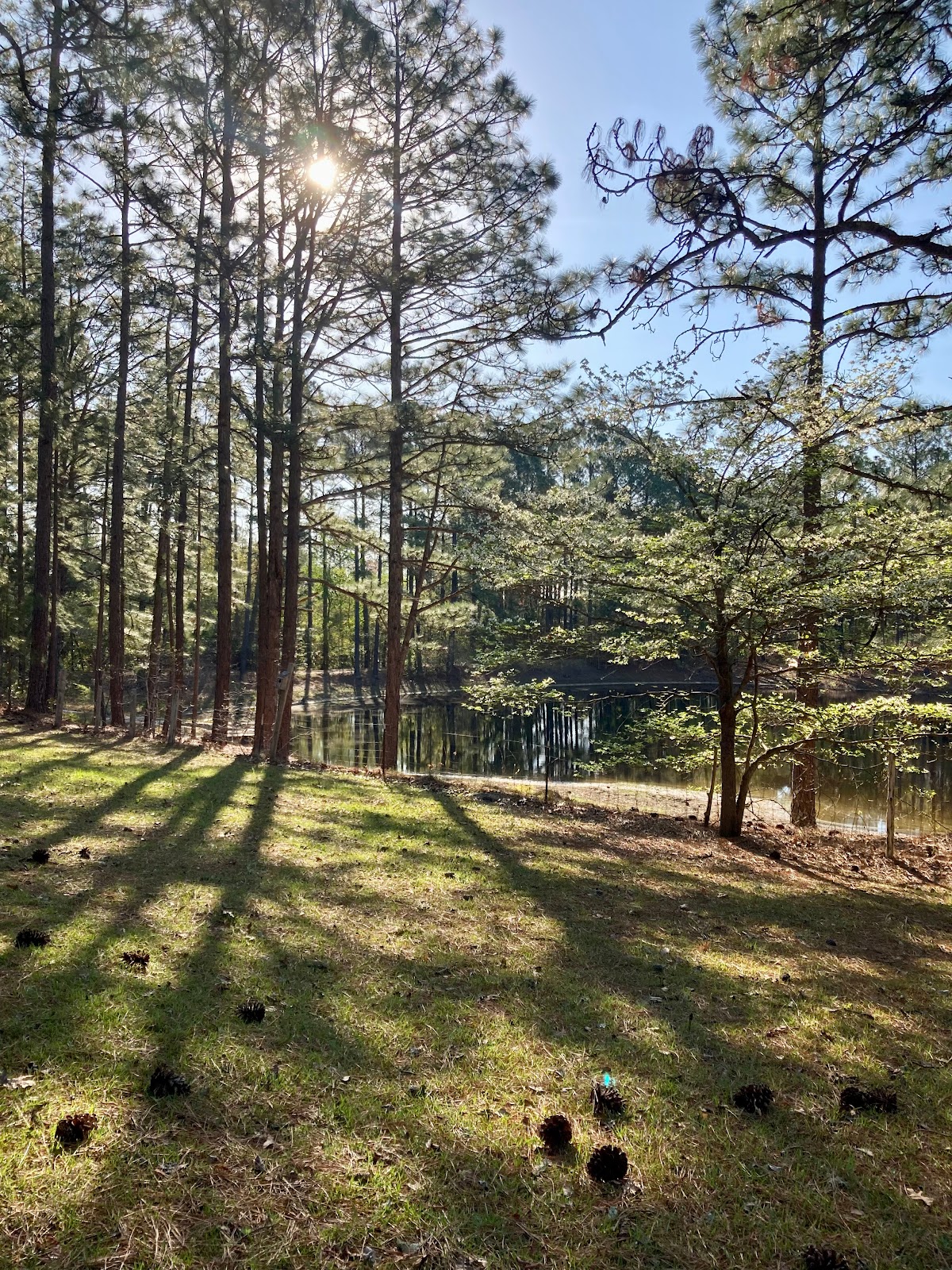 Spacious Skies Sandy Run