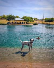 Grovers Basin Dog Park