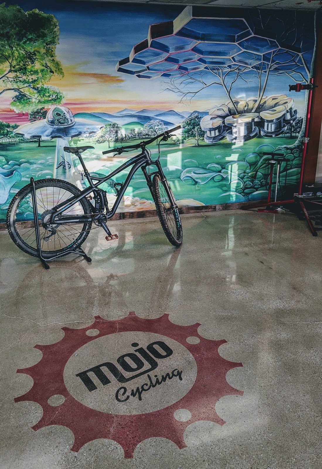 Mojo Cycling