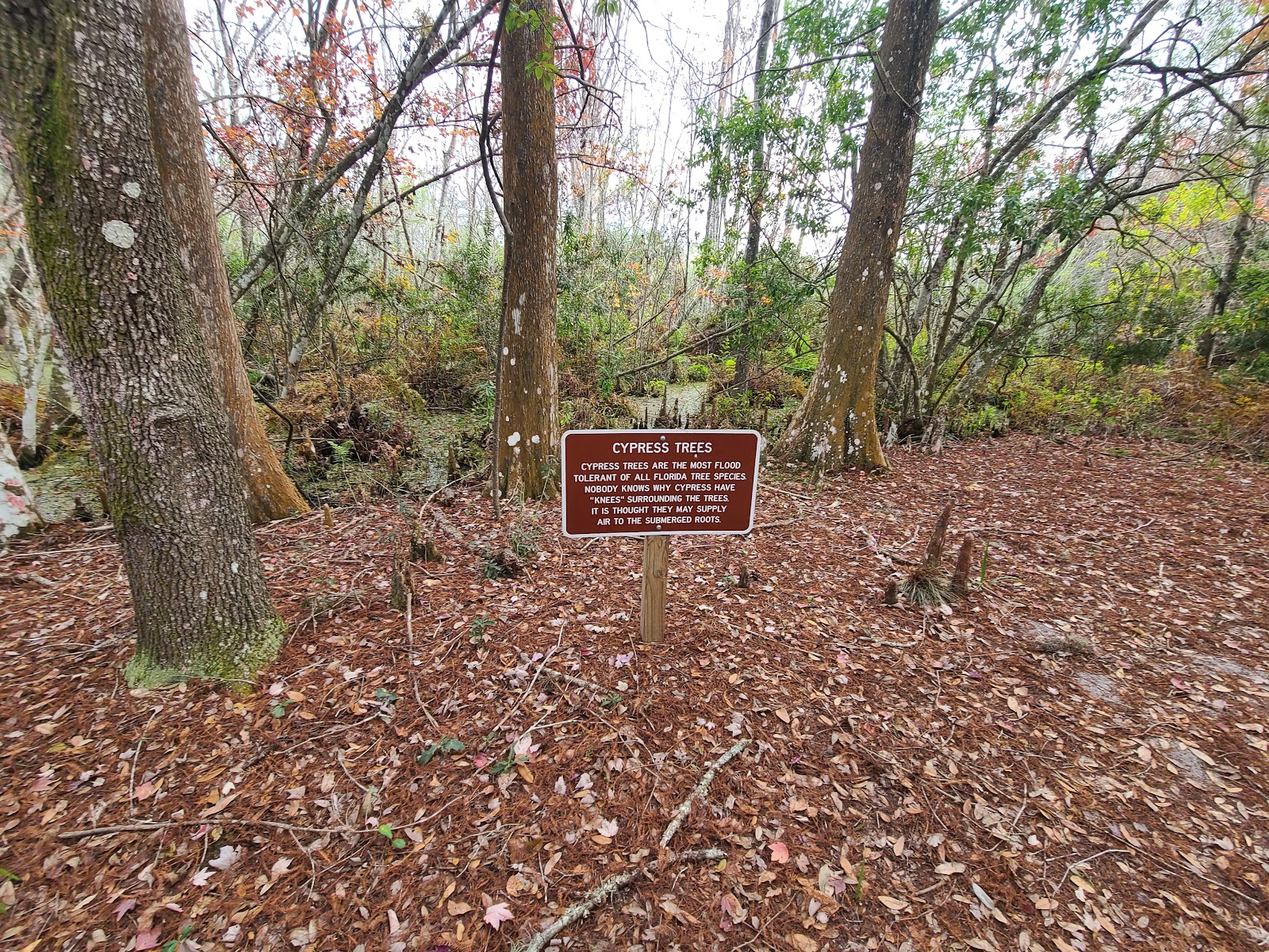 Lake Griffin State Park