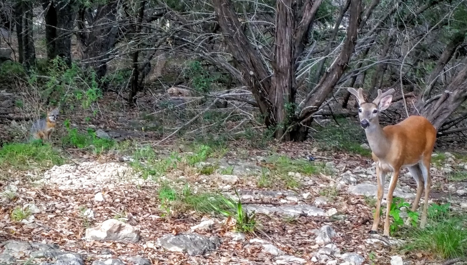 Joint Base San Antonio Rec. Park