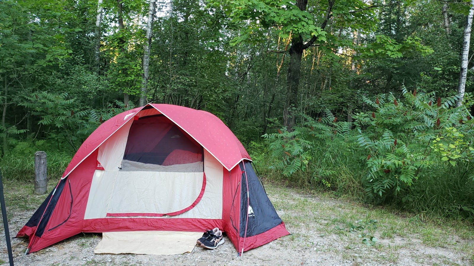 Haakwood SF Campground