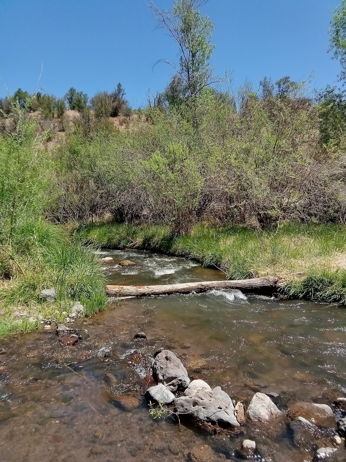 Grapevine Campground