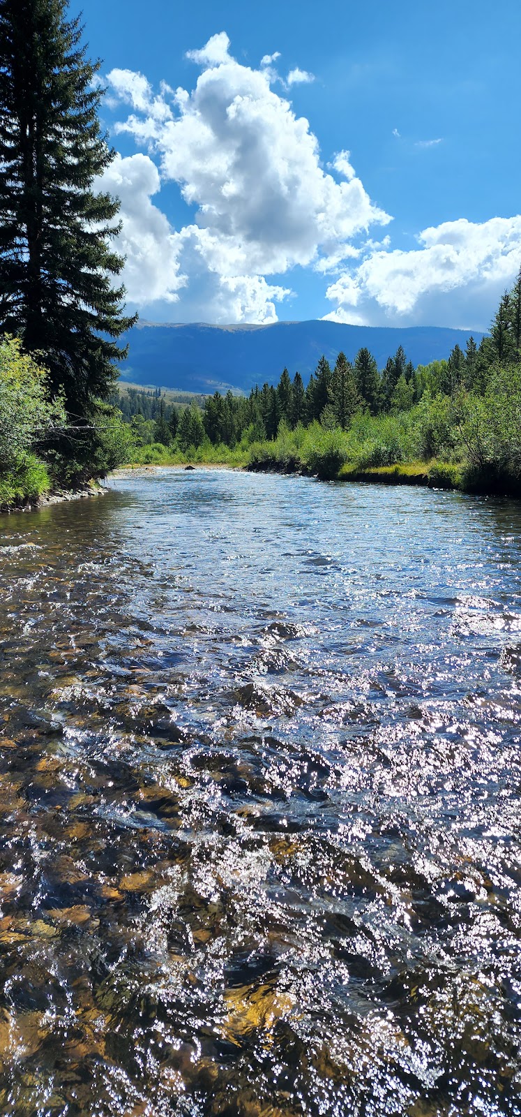 Blue River Campground (CO)