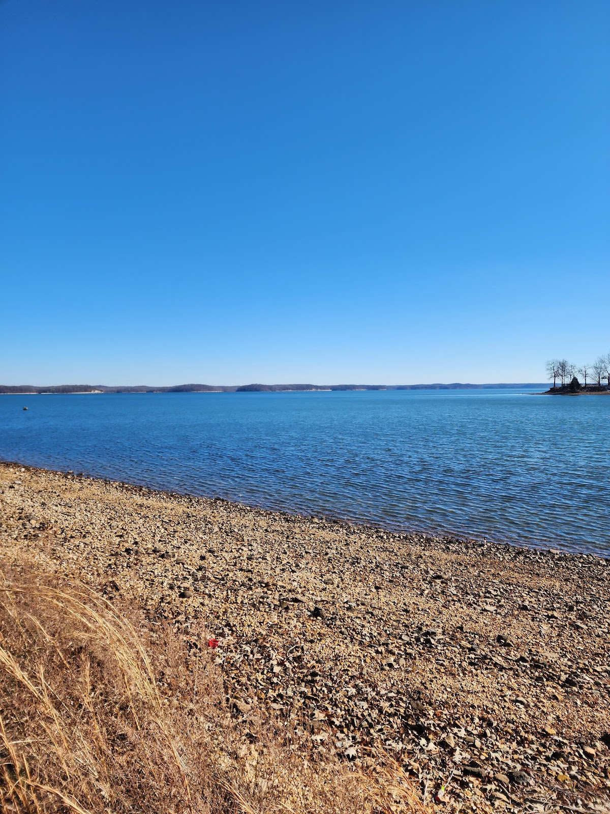 Bee Spring Lodge & Marina