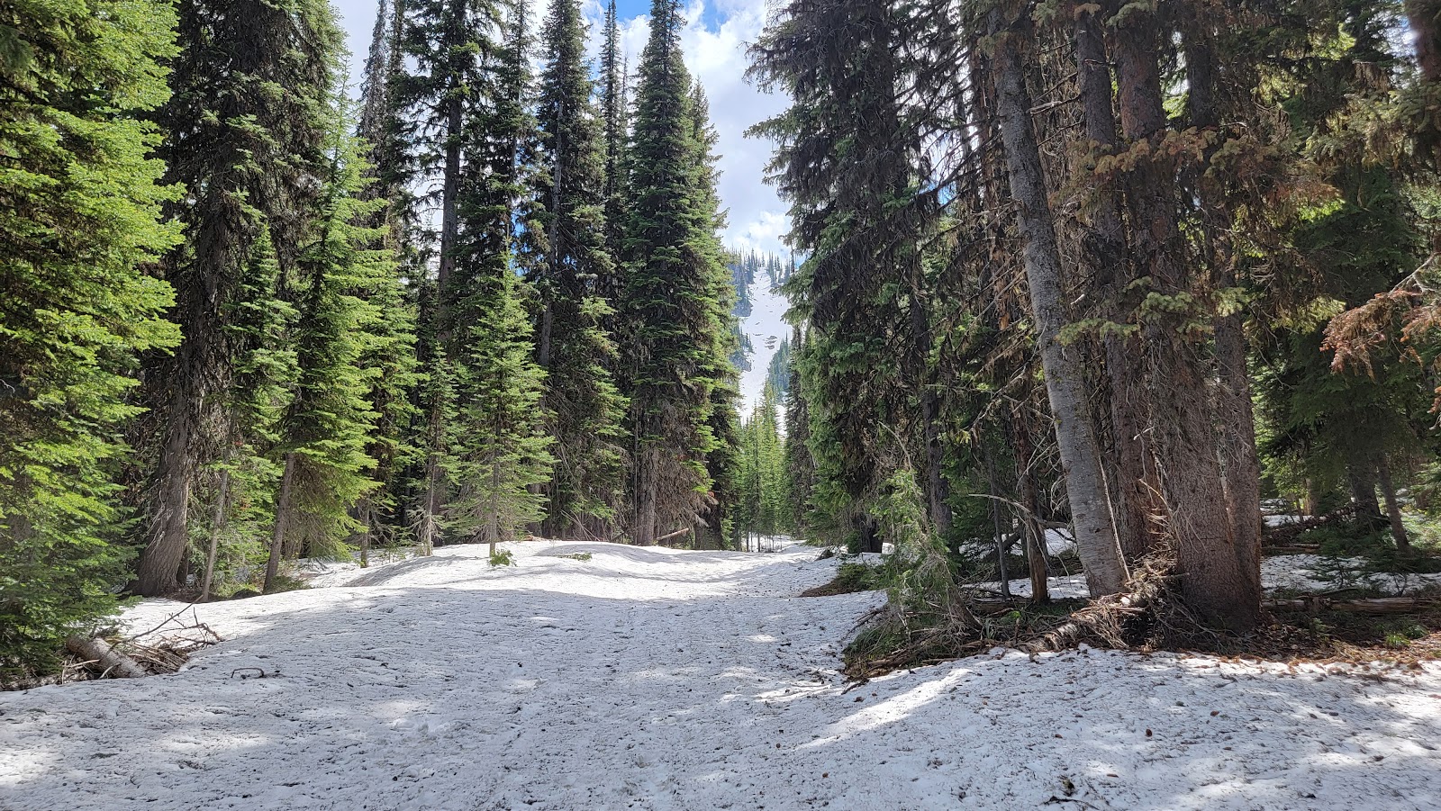 Orogrande Summit Campground