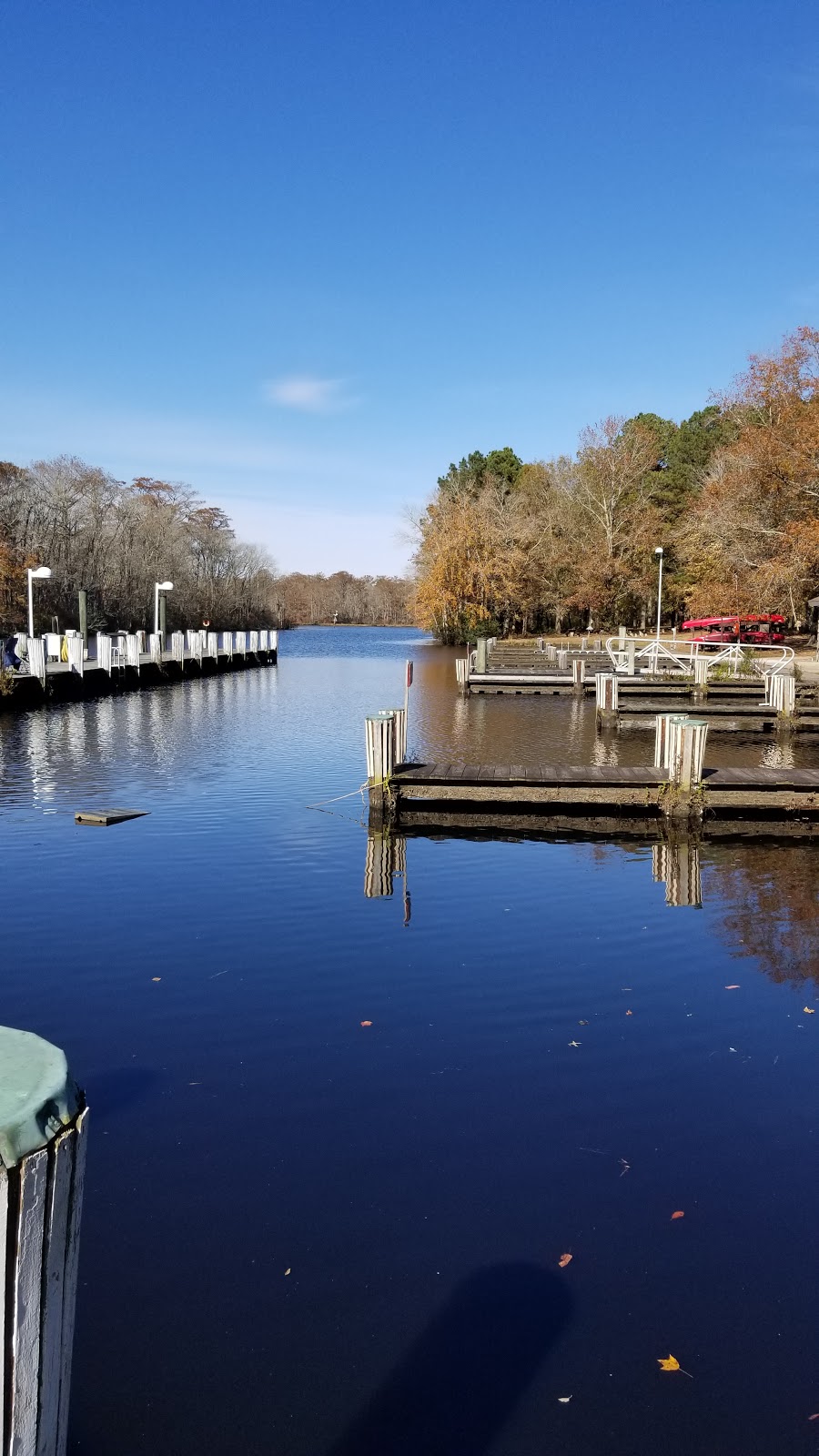 Shad Landing - Pocomoke River State Park