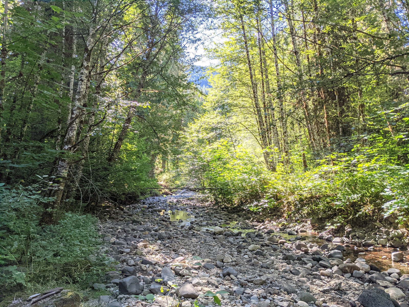 Paradise Creek Campground