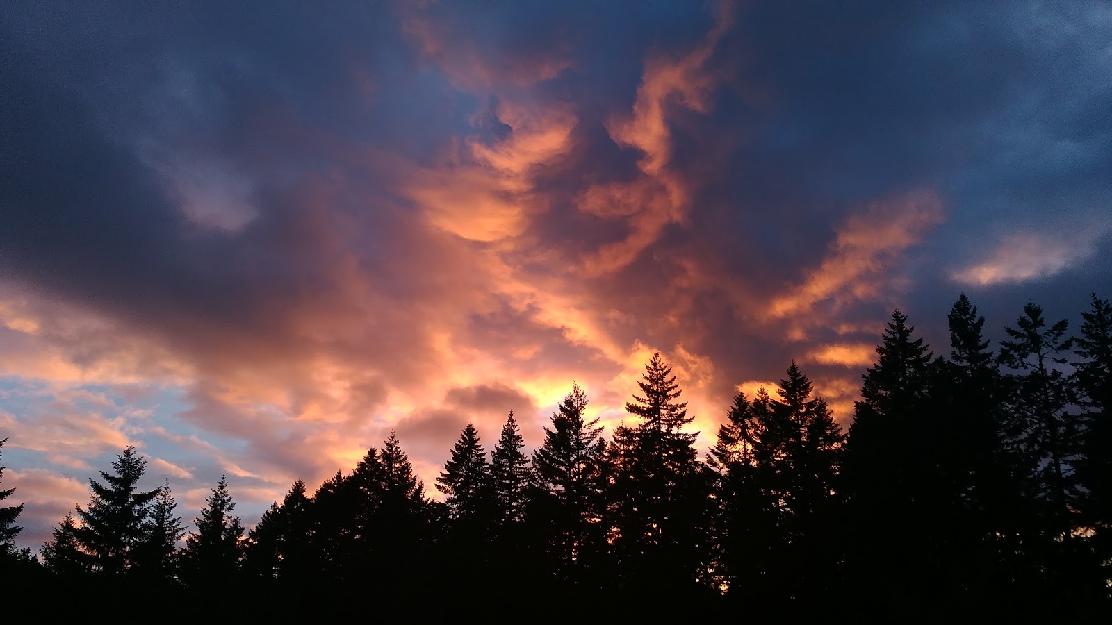 COE Dorena Reservoir Schwarz Campground