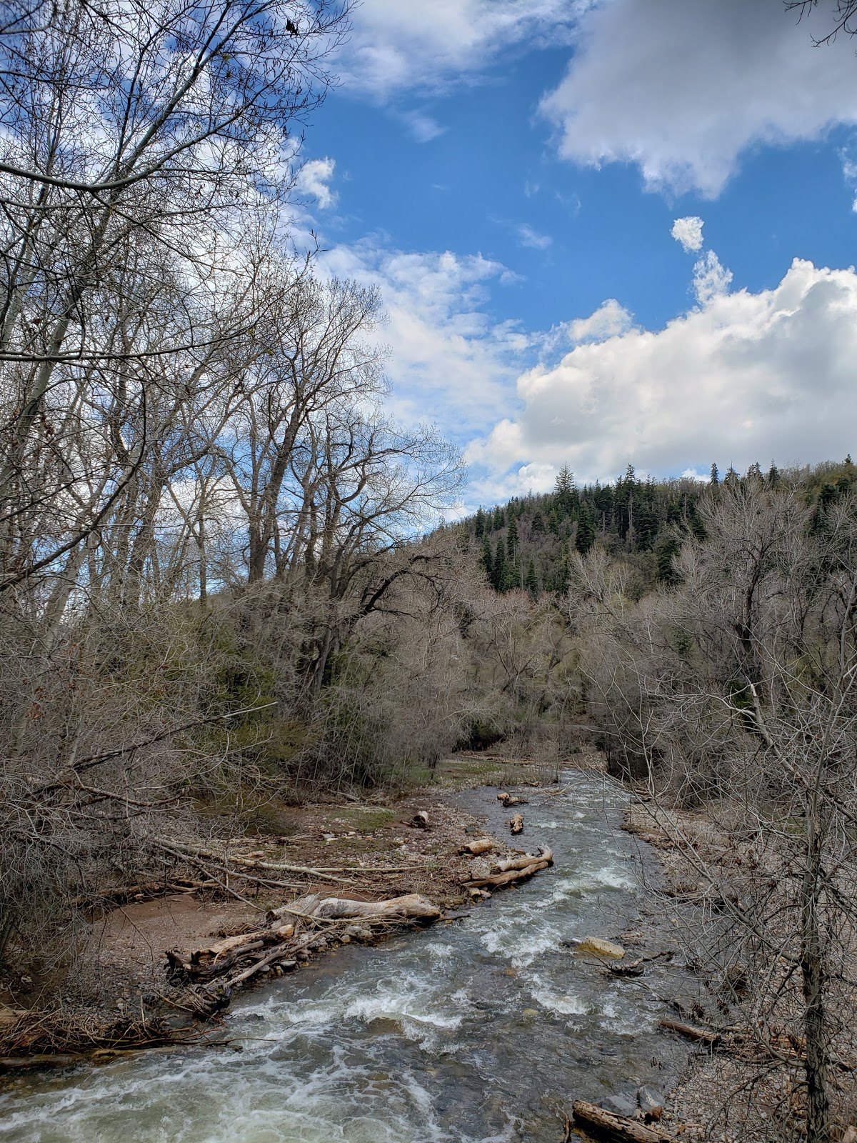 Cottonwood Campground