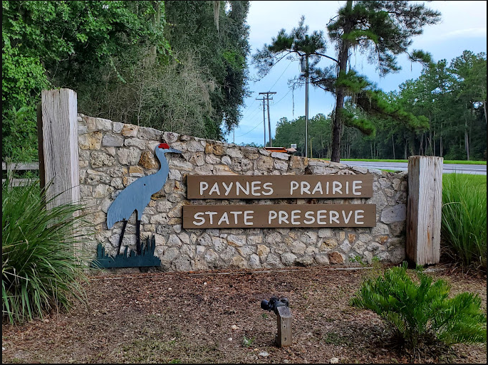 Paynes Prairie Preserve State Park