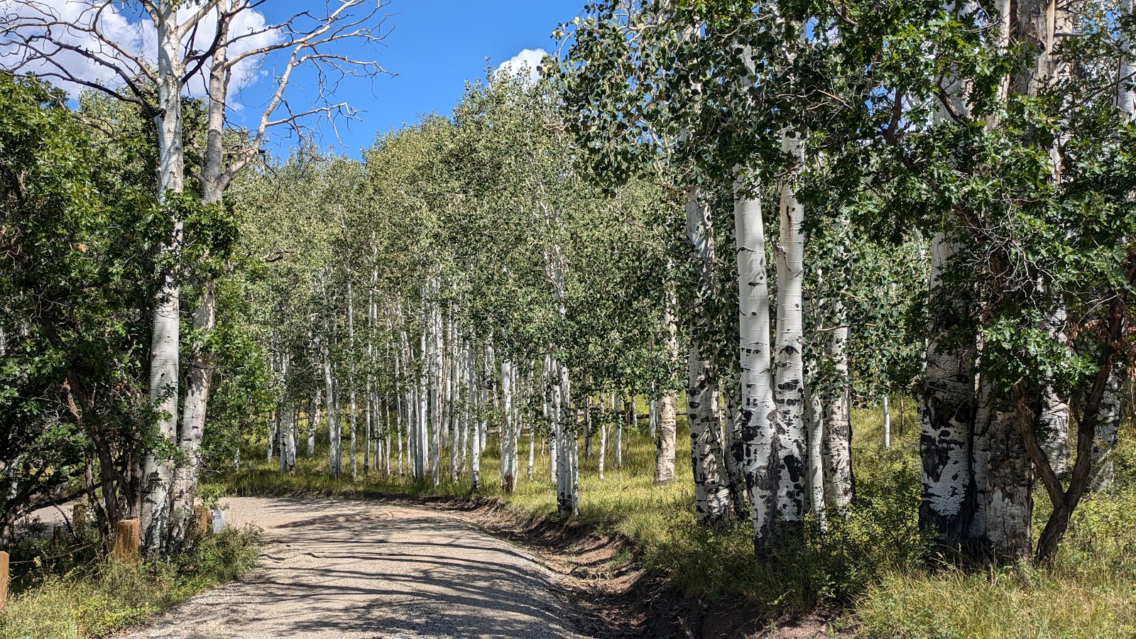 Mud Springs Campground
