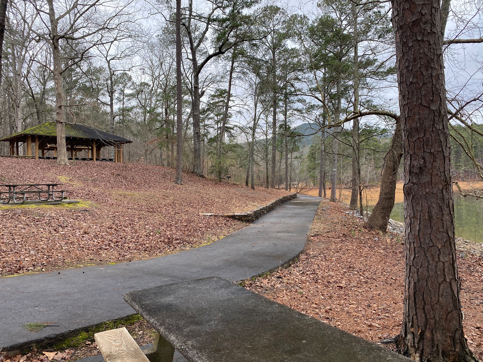 Cooper Branch No 2 Day Use Area (GA)