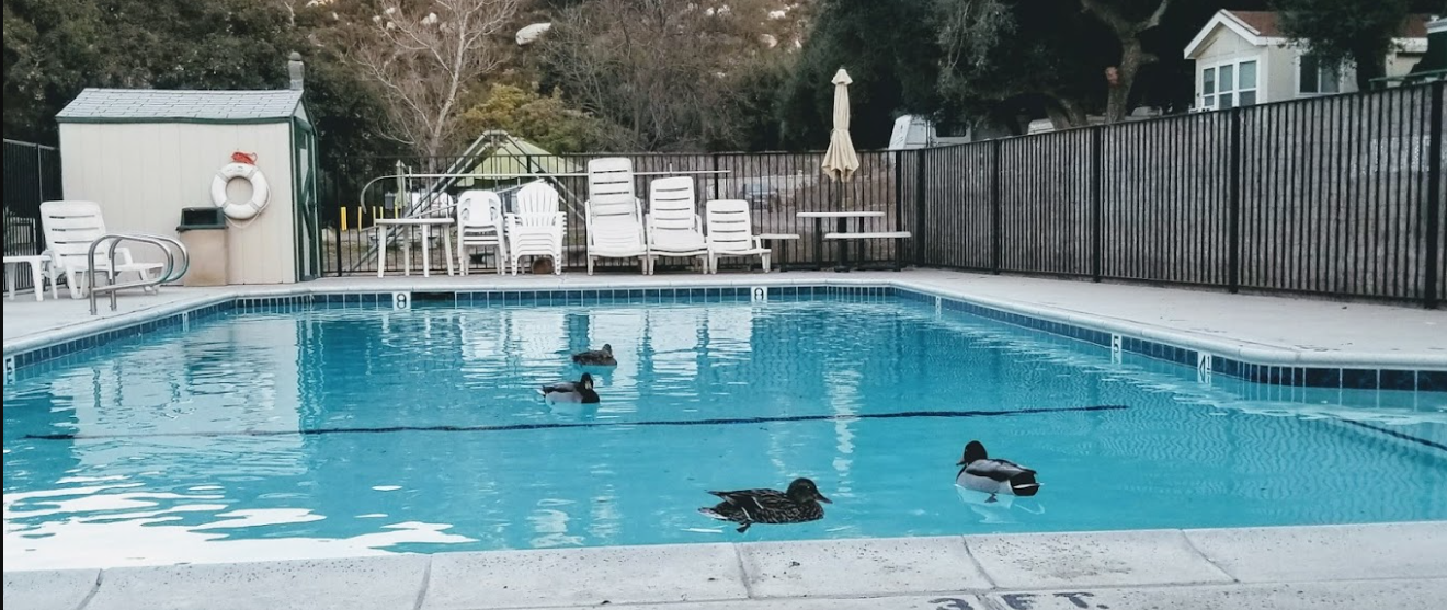 Ortega Oaks RV Park & Campground