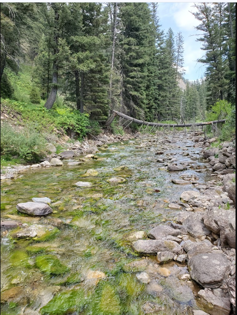 Cabin Creek Campground