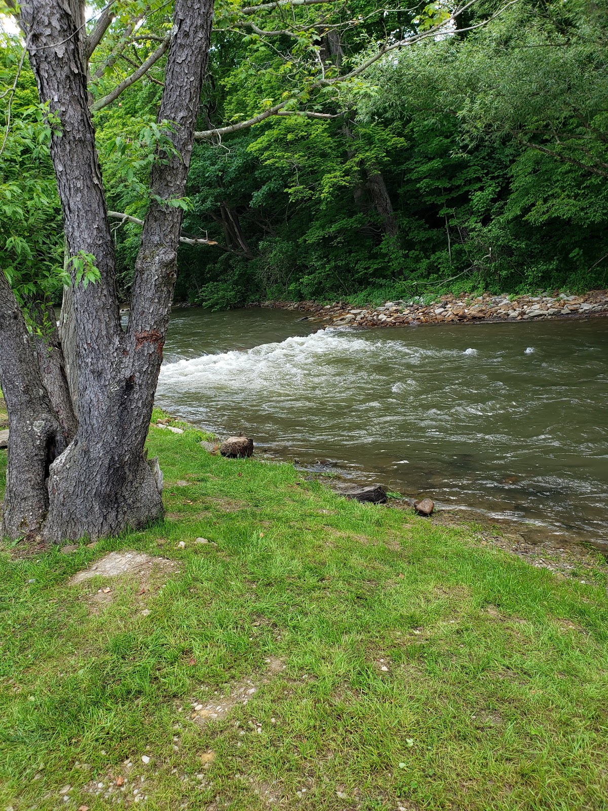 Mt Pines Camping Resort