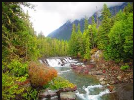 McDonald Creek Adventure Park