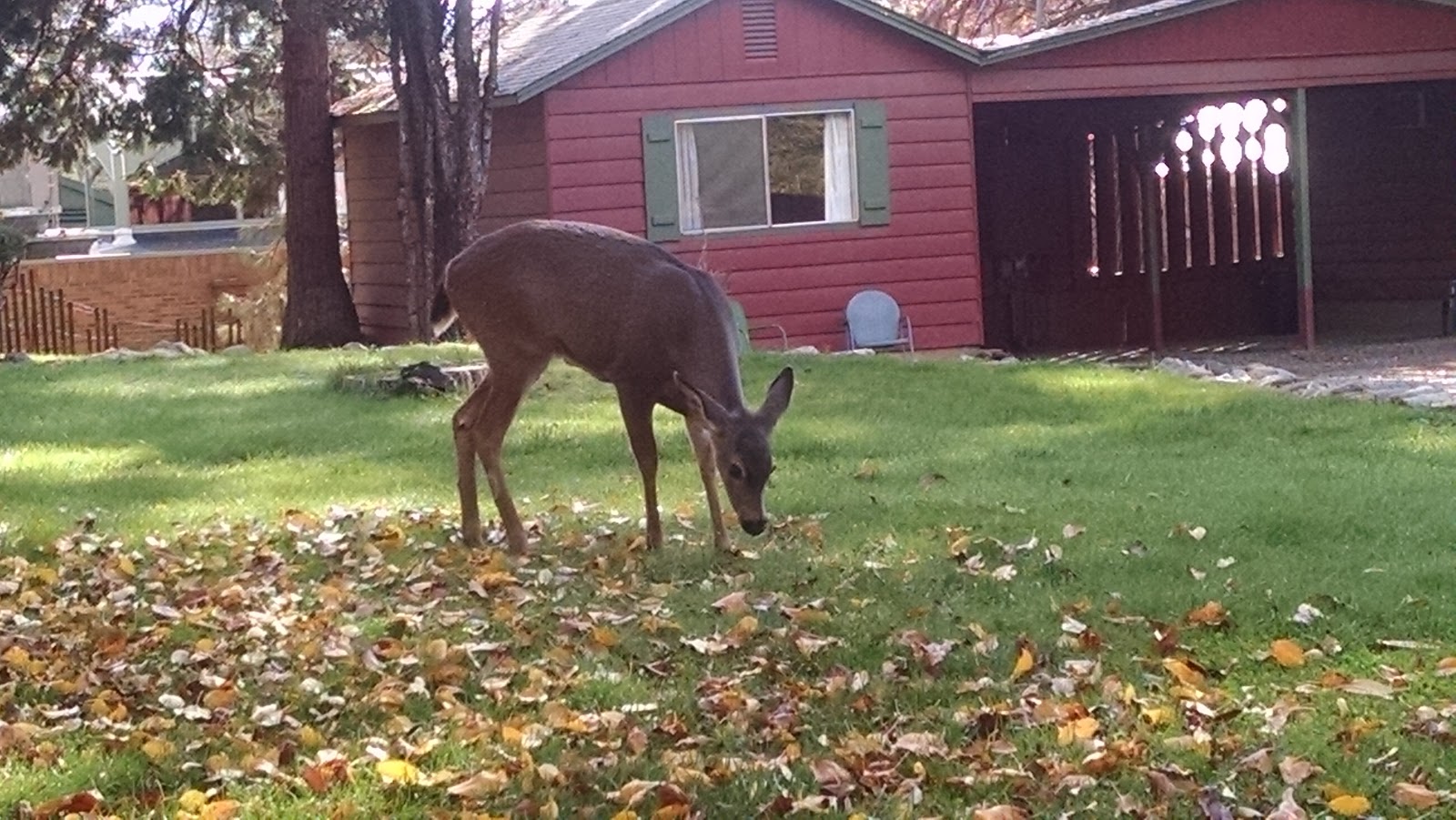 Horse Flat Campground