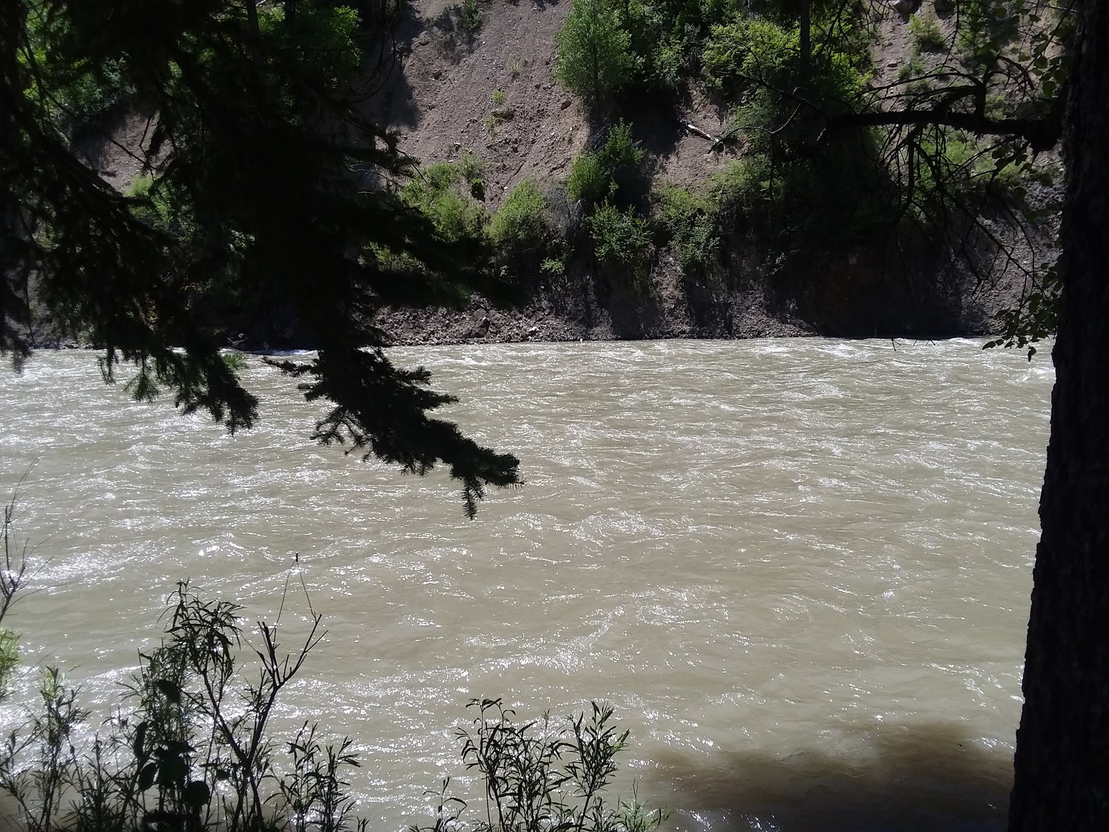 Forest Park Campground