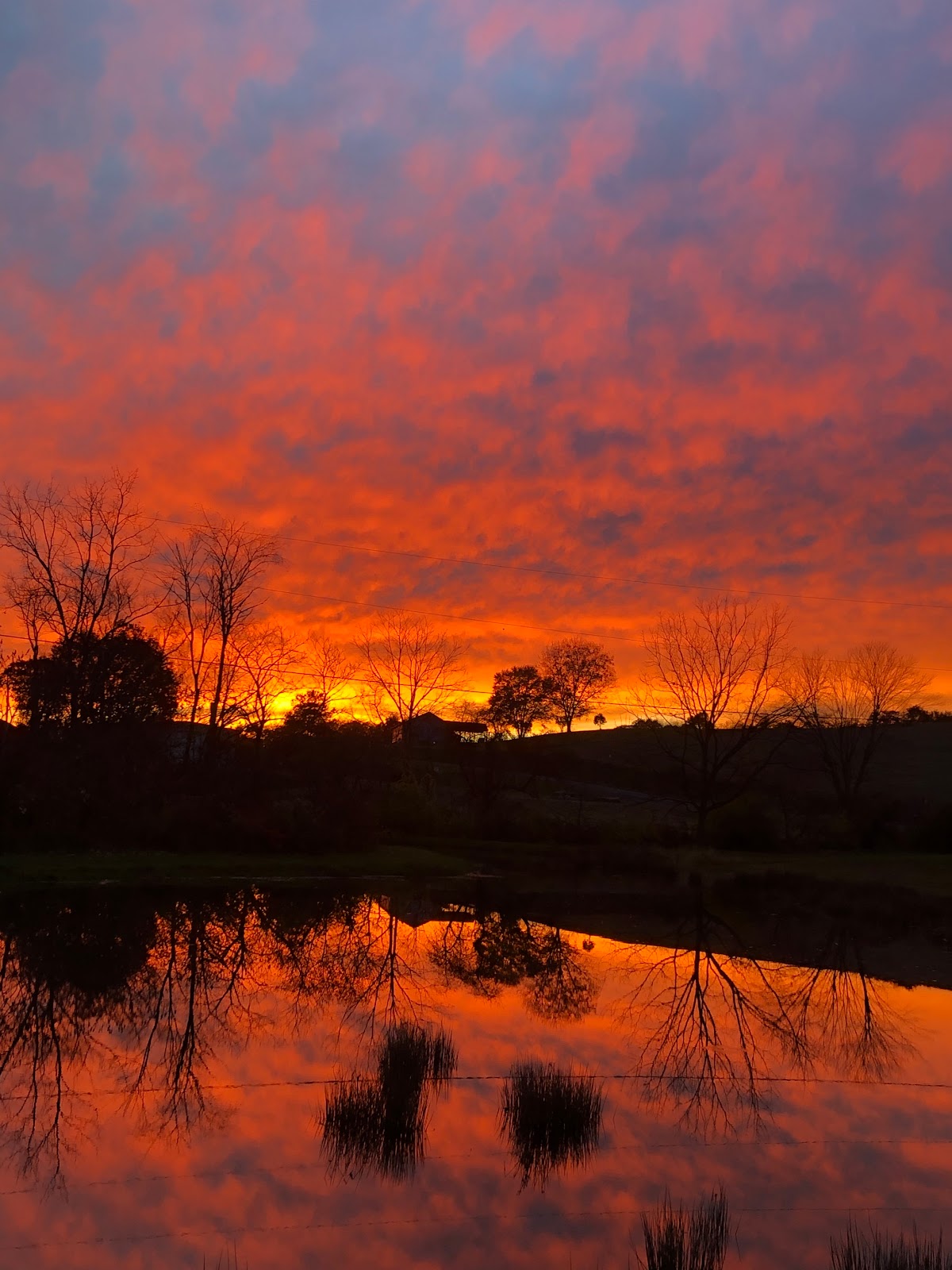 Irish Valley Campground