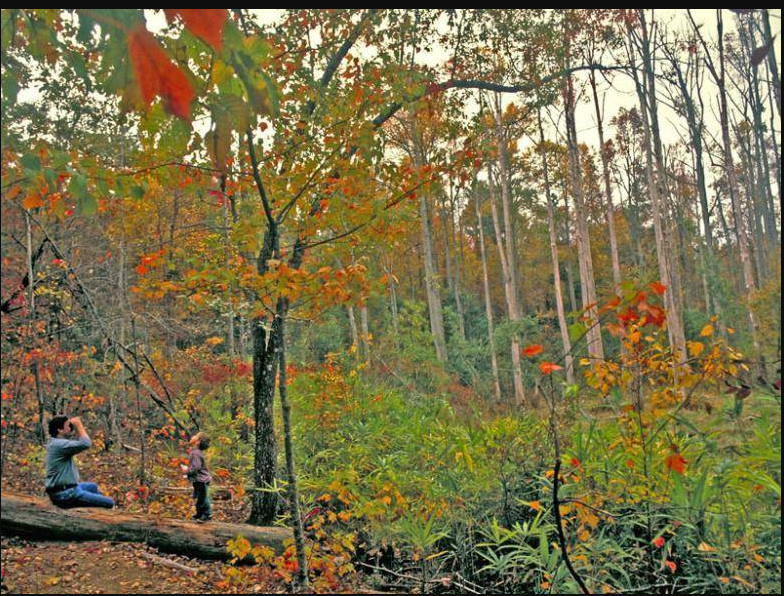 F.D. Roosevelt State Park