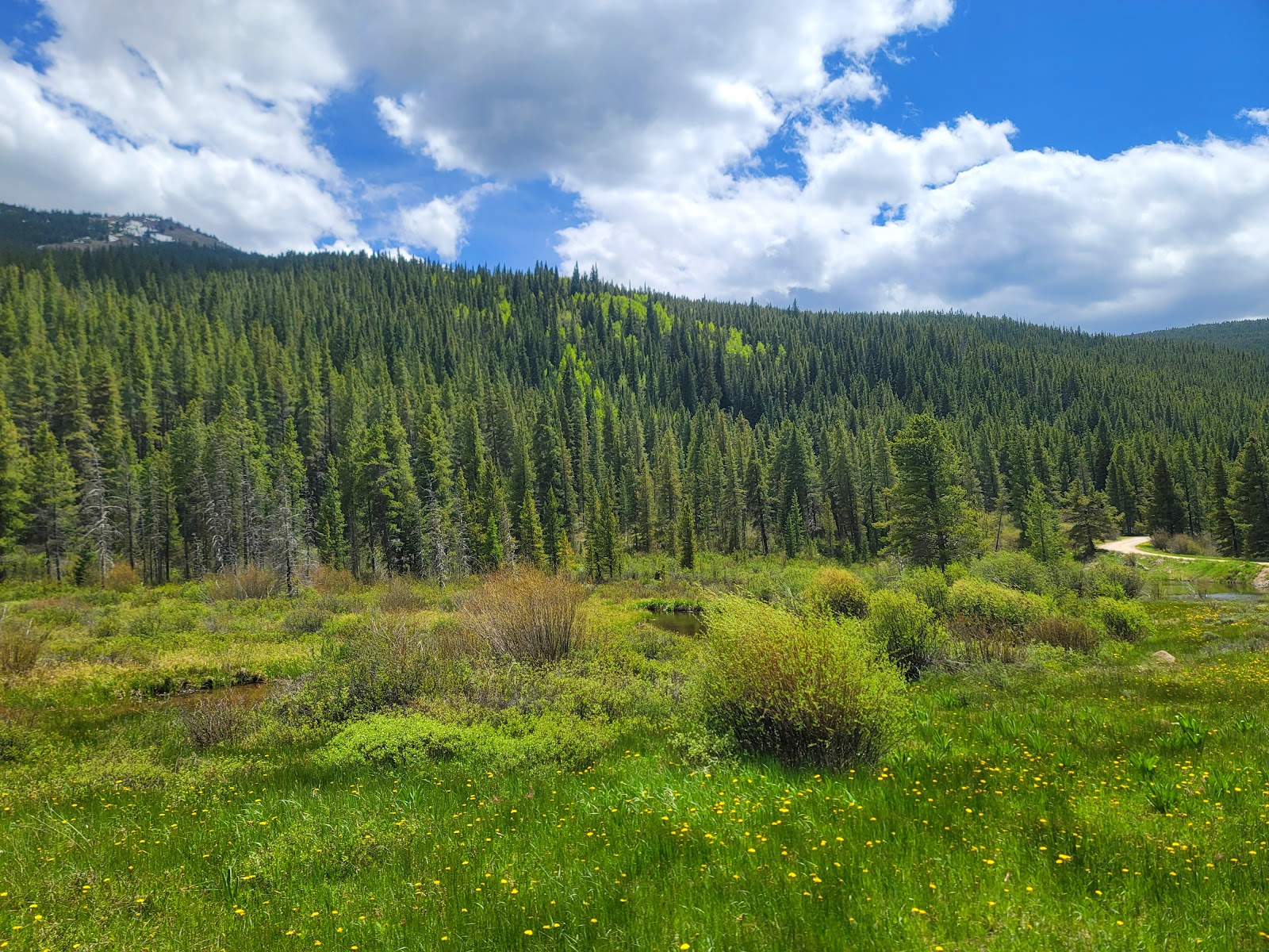 Camp Hale Memorial Campground