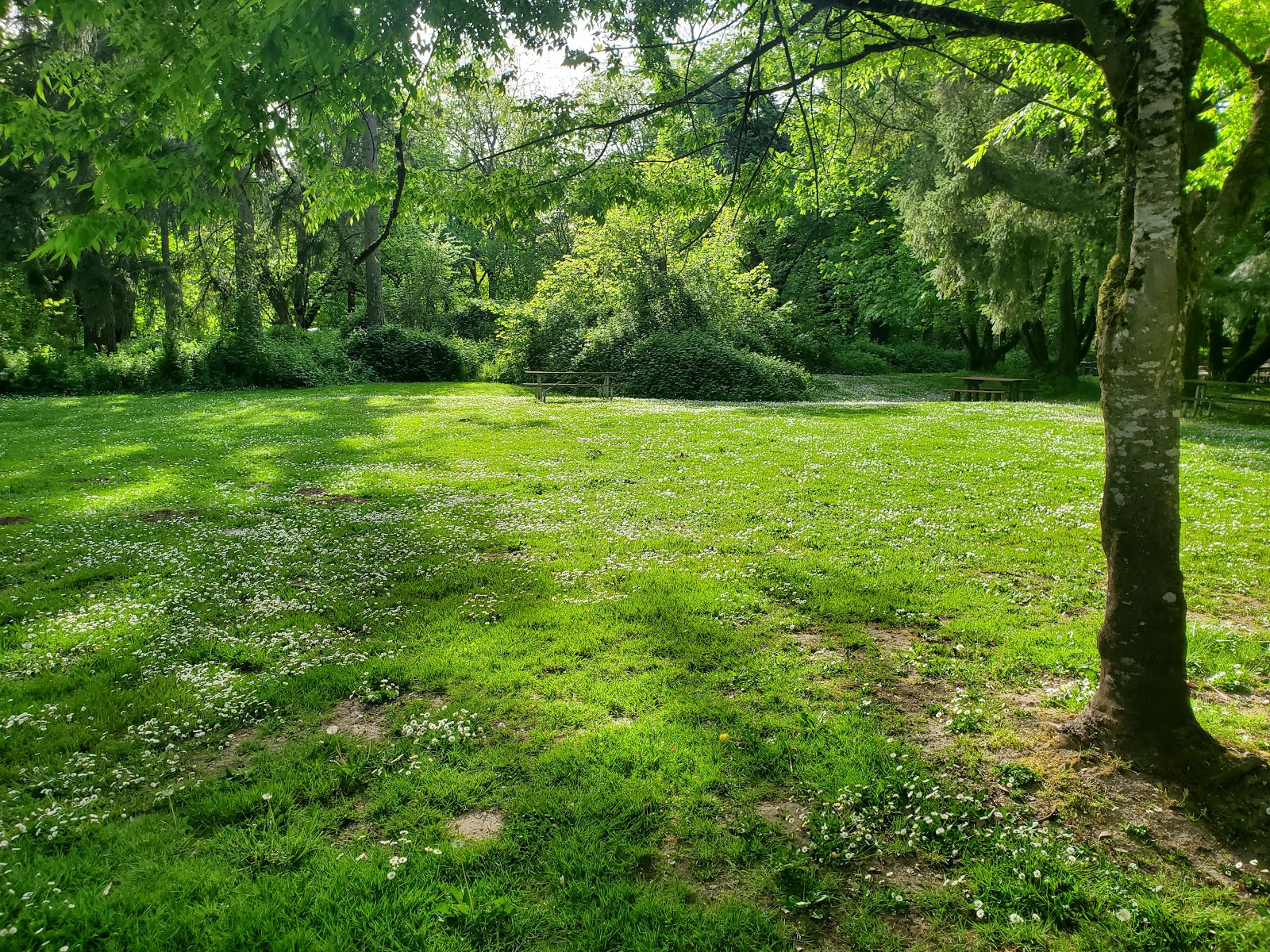 Armitage Park Campground