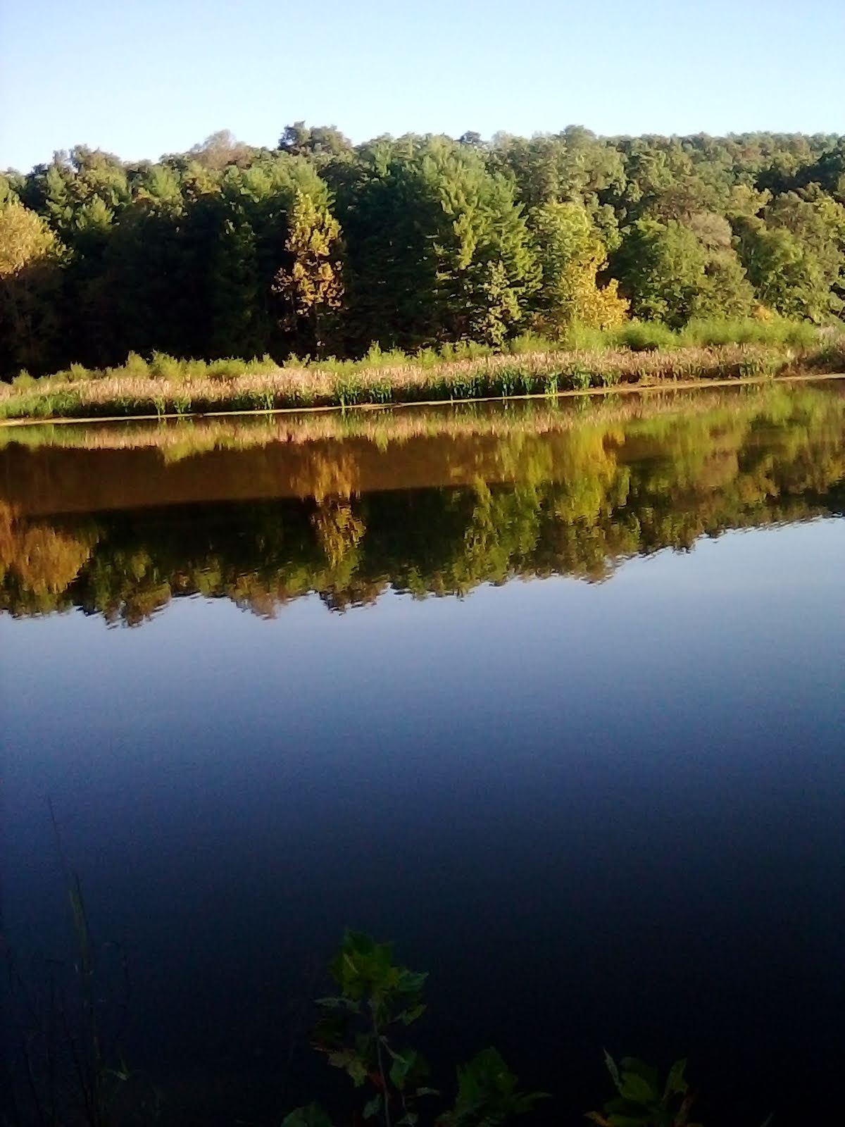 Johnson Creek Rec Area