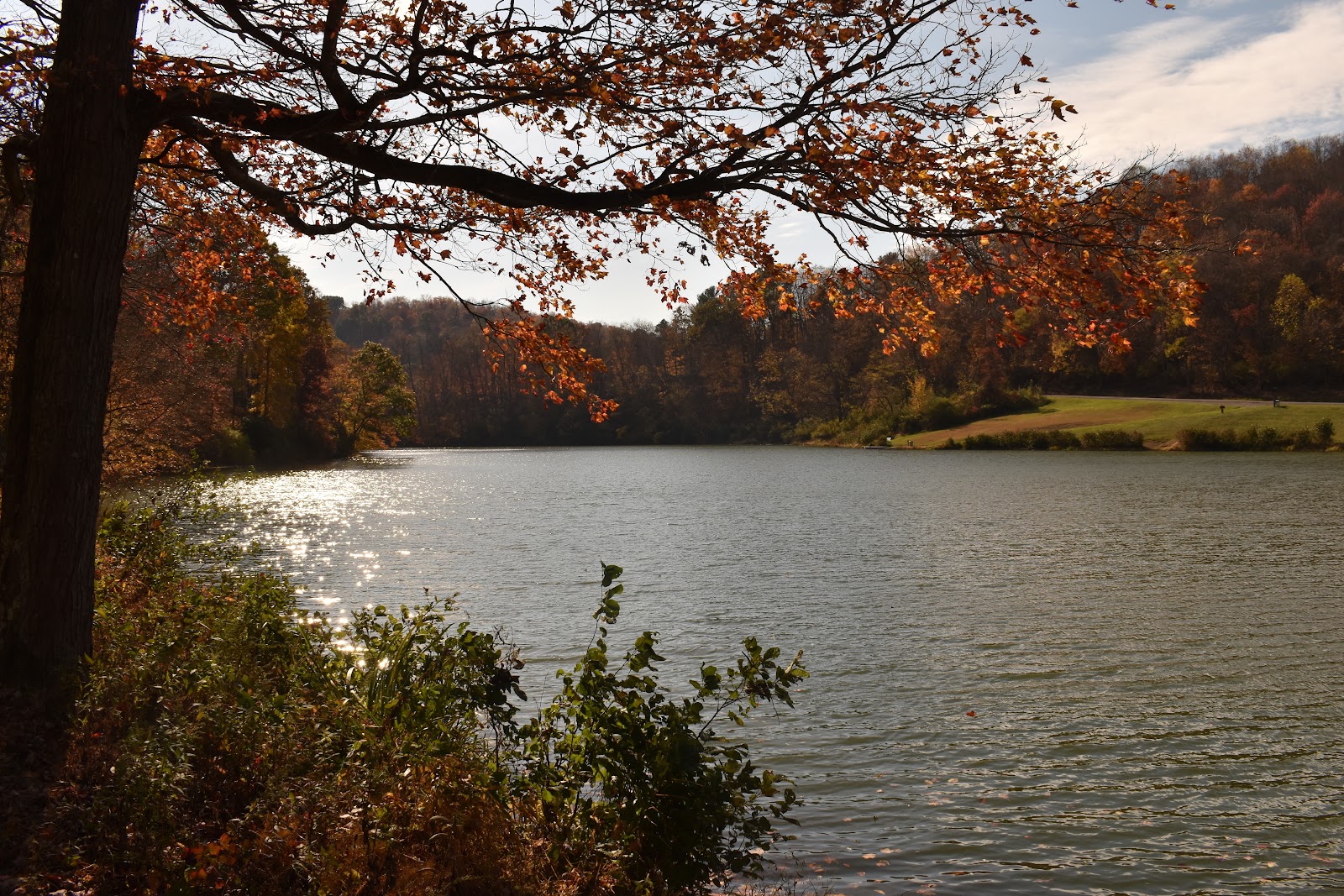 Tomlinson Run State Park