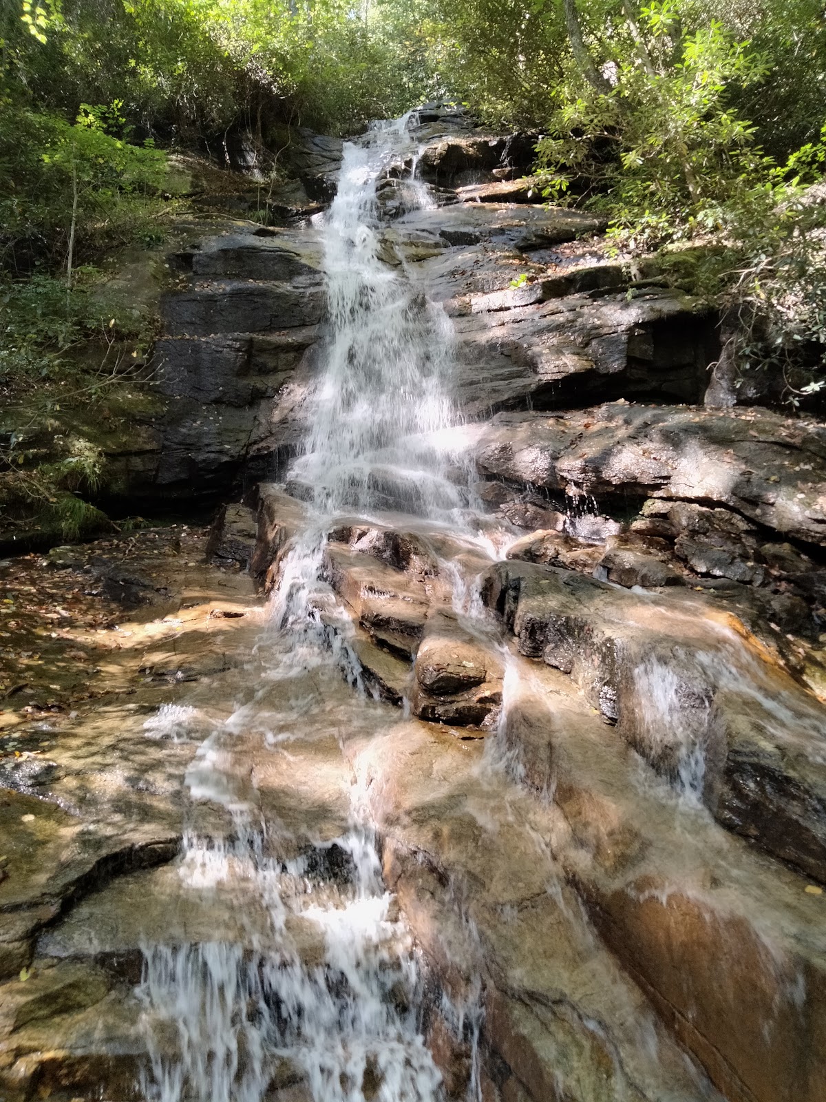 Mountain Bridge Wilderness Area Trailside Camping