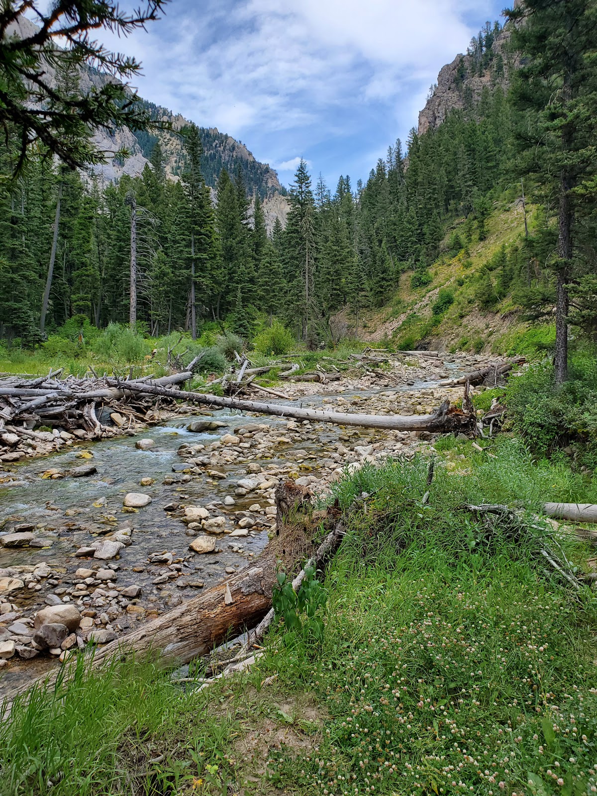 Cabin Creek Campground