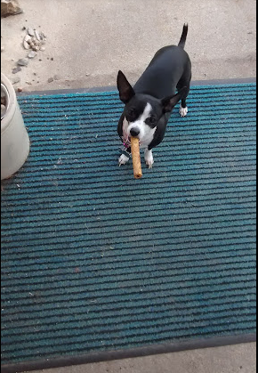 Crystal Springs Lake Camping