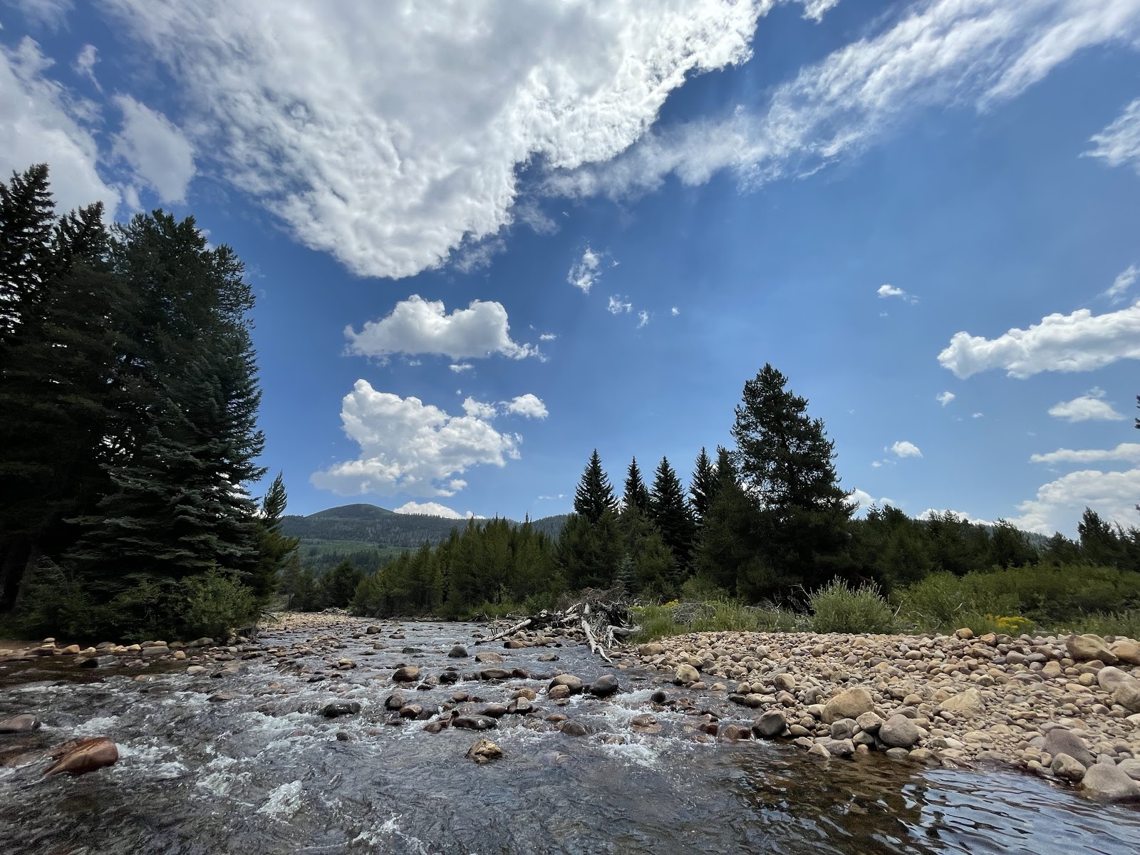 Lower Provo River Campground