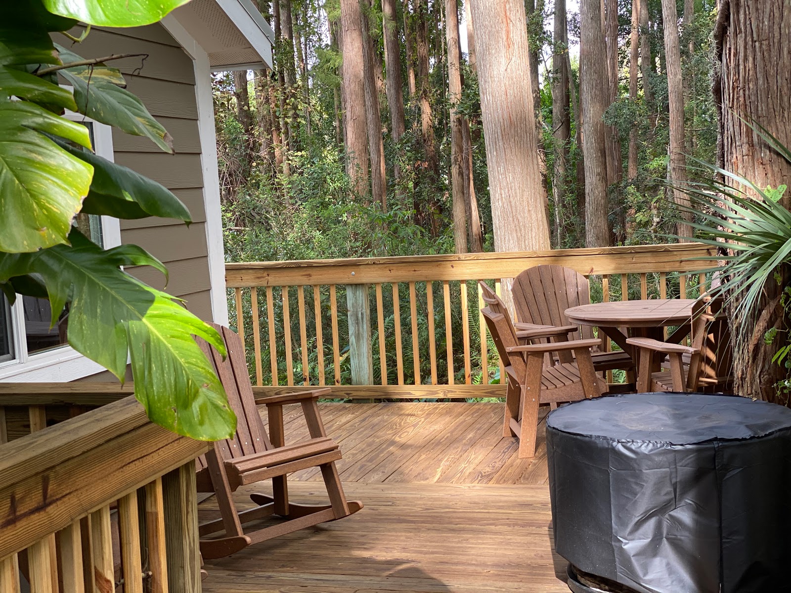 Clearwater - Lake Tarpon KOA Holiday