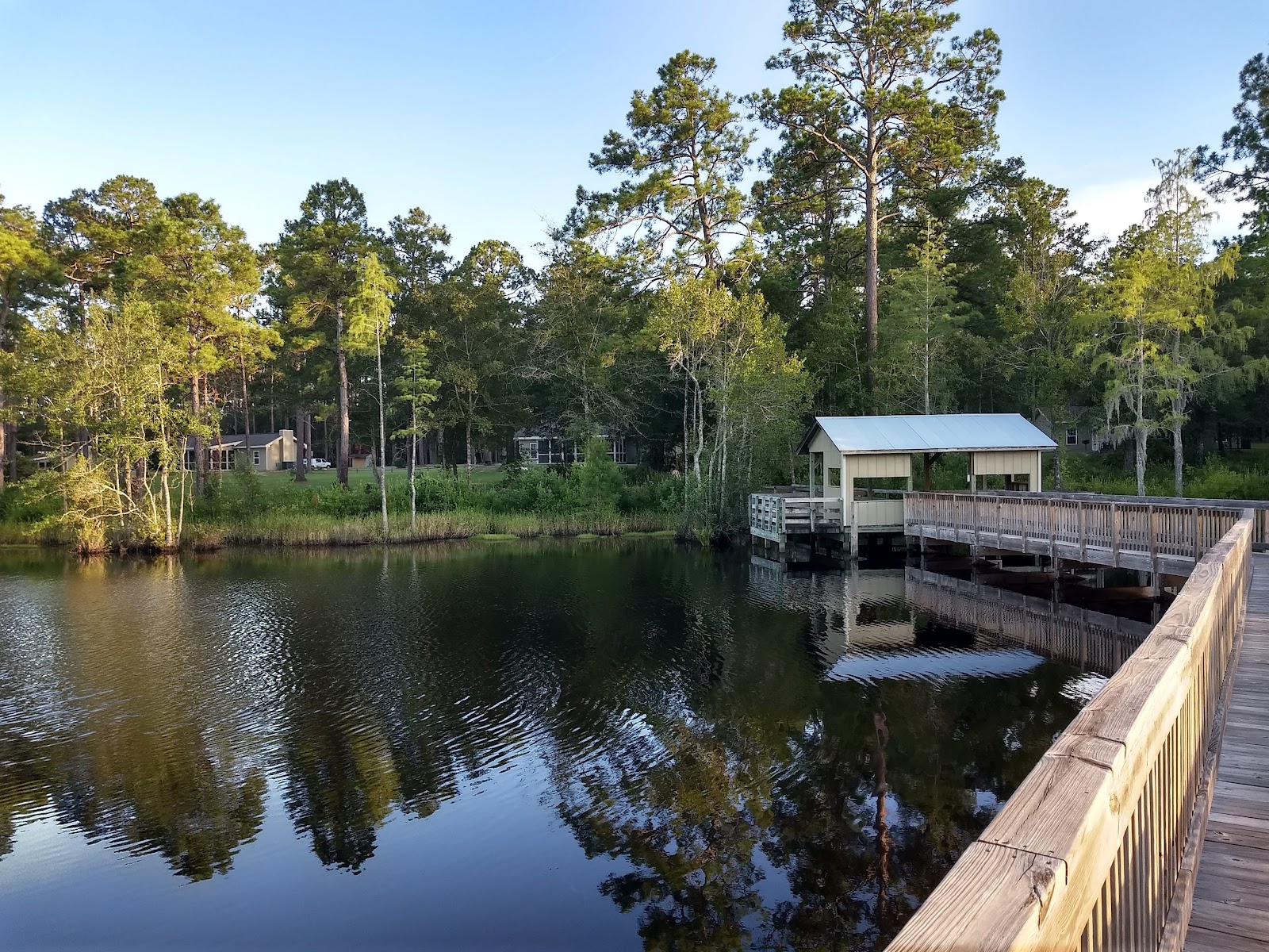 Laura S. Walker State Park