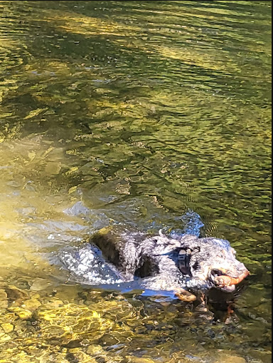 Kilchis River County Campground