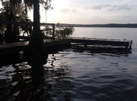 Gantt Lake RV Park and Rentals