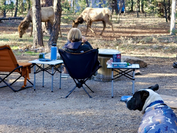 Mather Campground (NPS Campground)