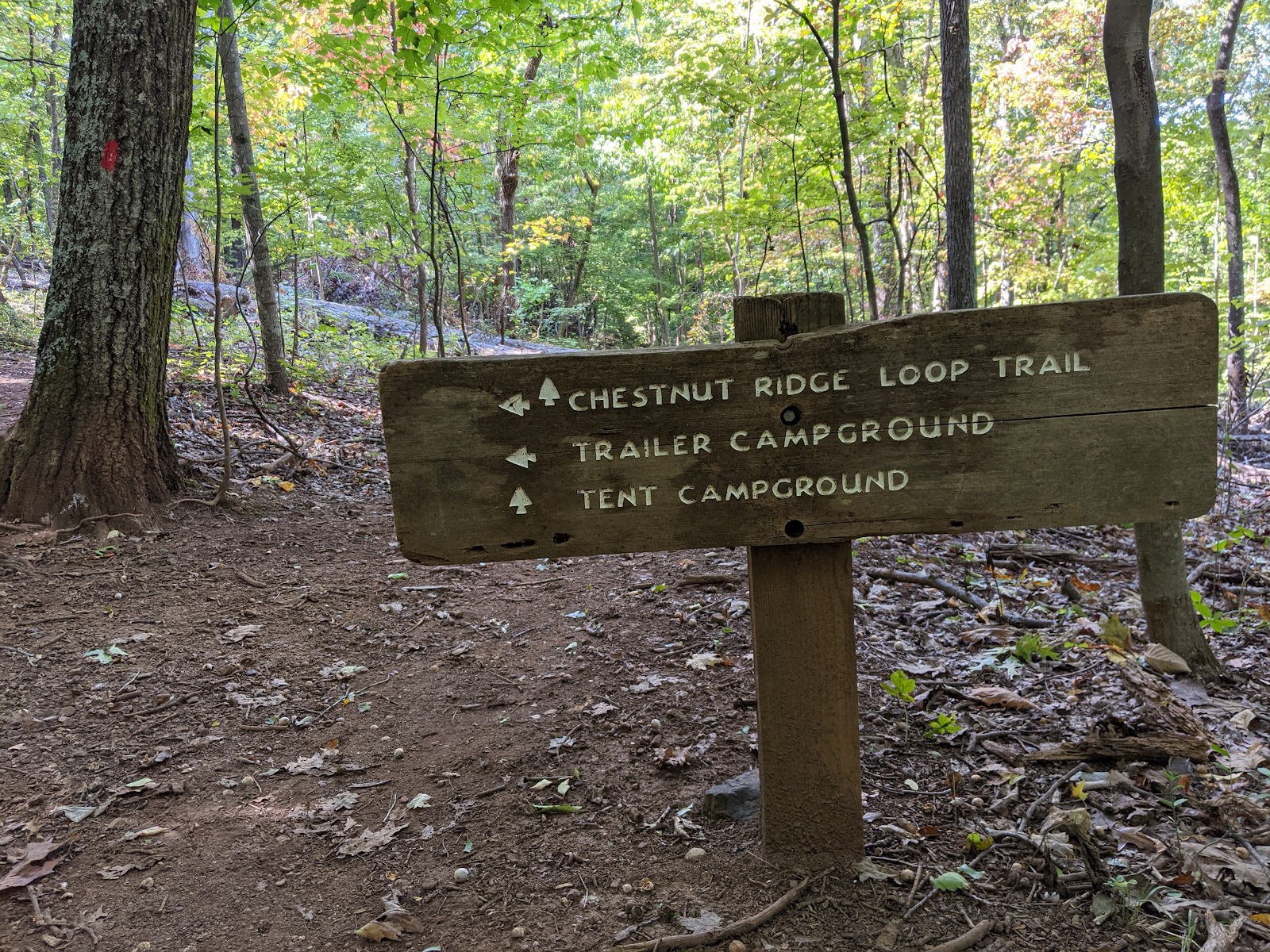 Roanoke Mountain Campground