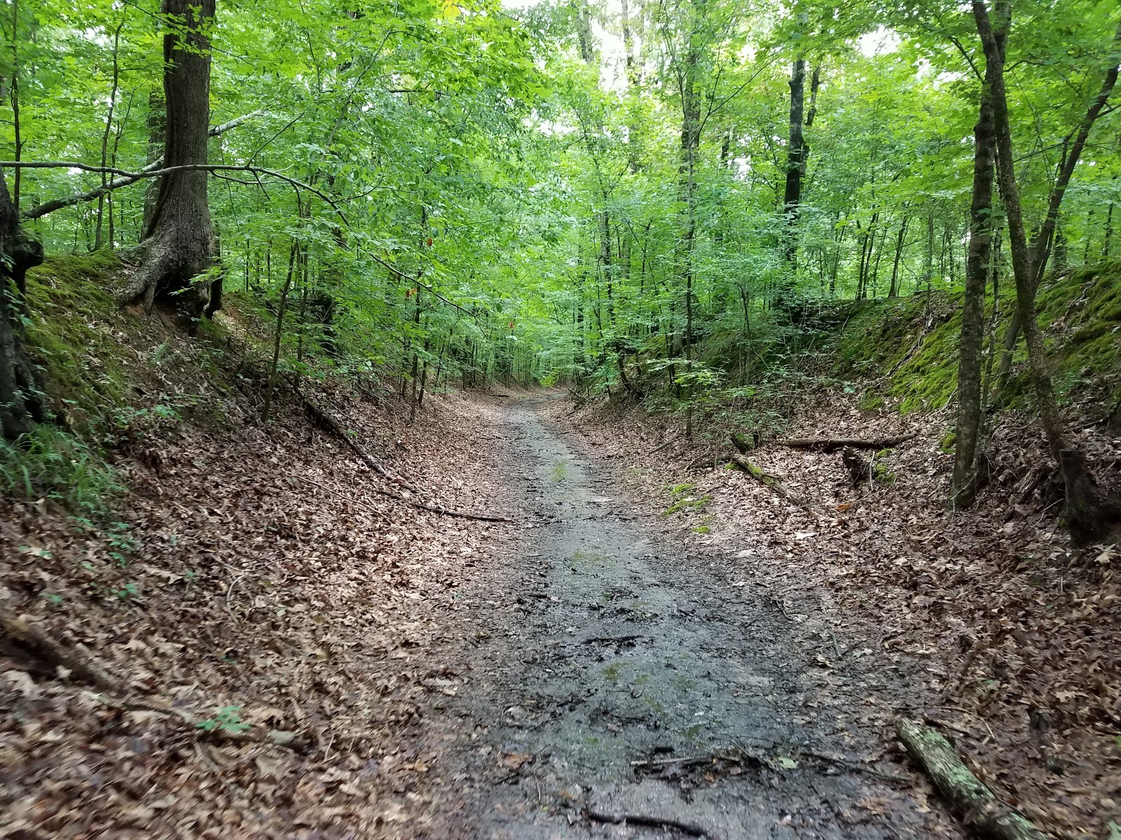 Village Creek State Park