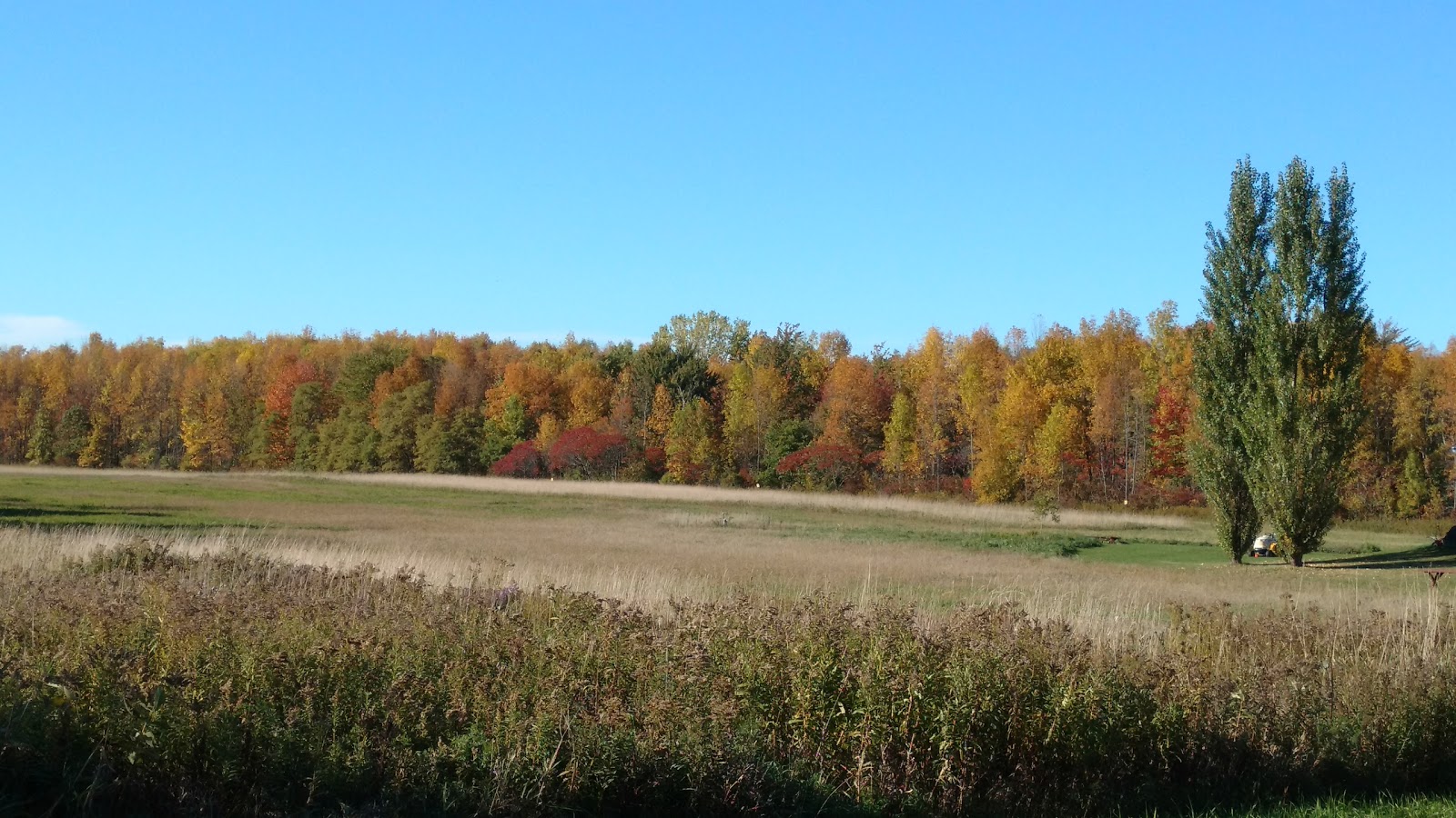 North Hero State Park