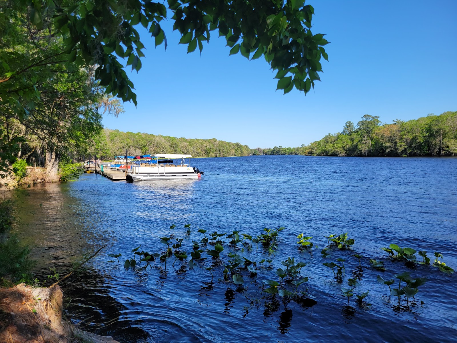 Yellow Jacket Campground Resort