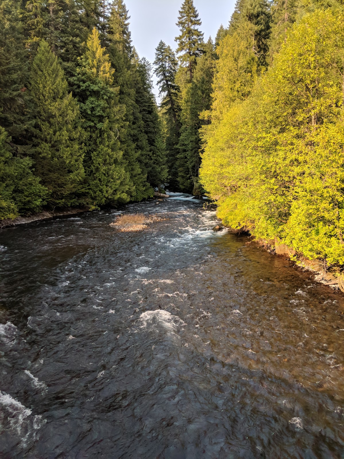 Ice Cap Creek Campground